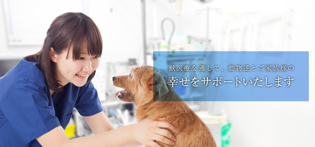 獣医療を通して、動物たちとご家族の幸せをサポートいたします